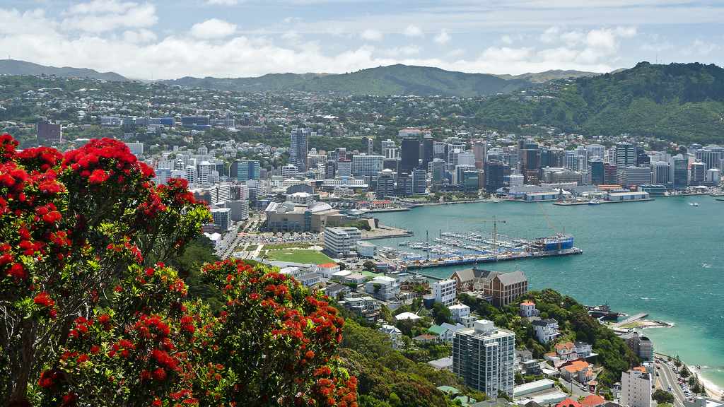 Wellington city with pohutakawa